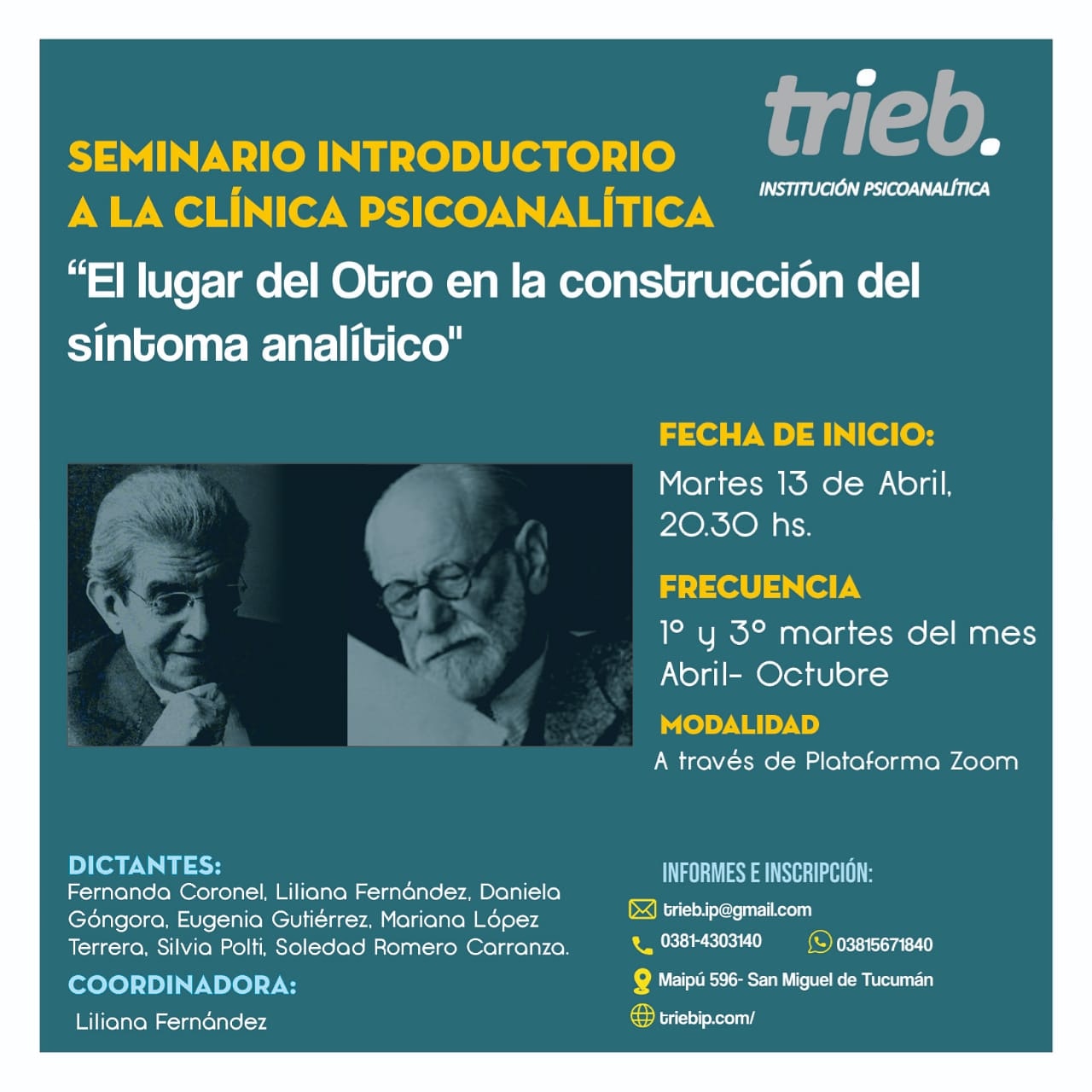 En este momento estás viendo SEMINARIO INTRODUCTORIO A LA CLÍNICA  PSICOANALÍTICA