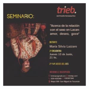 Lee más sobre el artículo Seminario “Acerca de la relación con el sexo en Lacan: amor, deseo, goce”