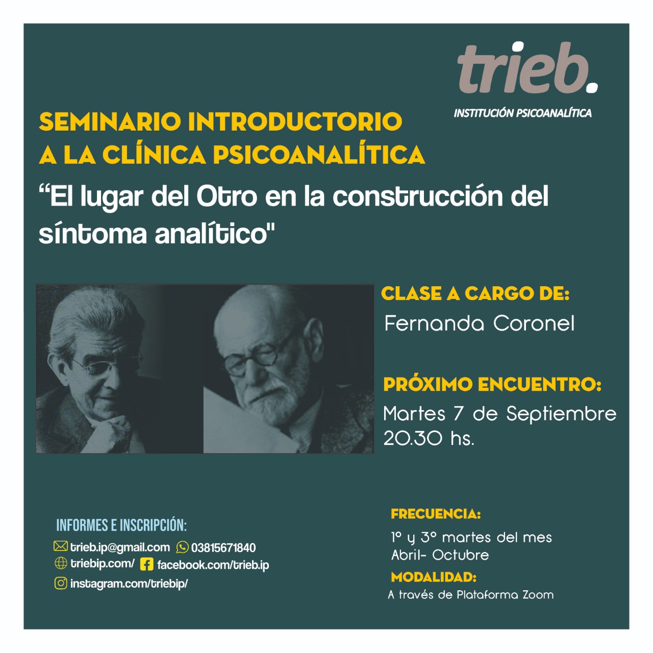 En este momento estás viendo Seminario Introductorio a la Clínica Psicoanalítica. «El lugar del Otro en la construcción del síntoma analítico»