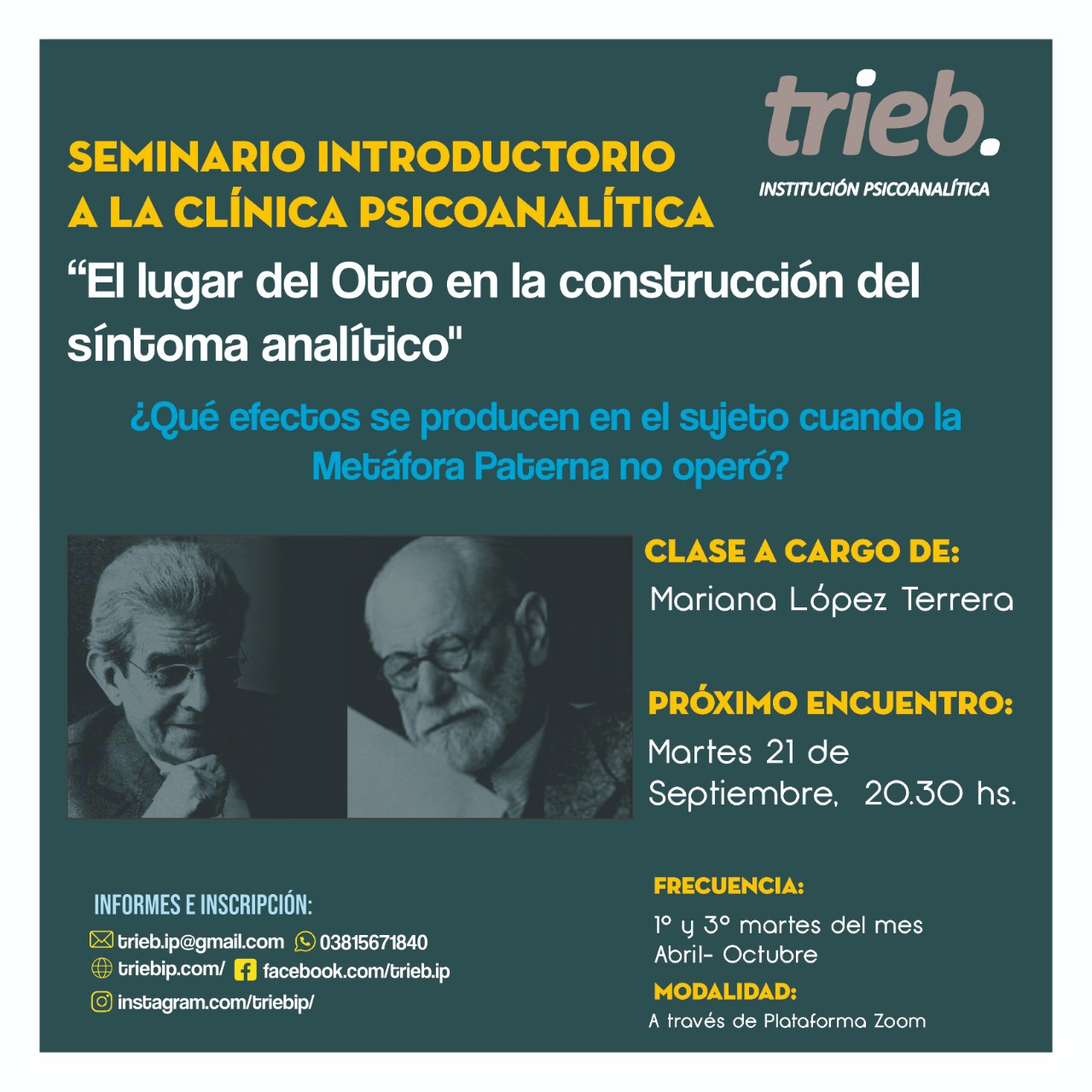 En este momento estás viendo Seminario Introductorio a la Clínica Psicoanalítica