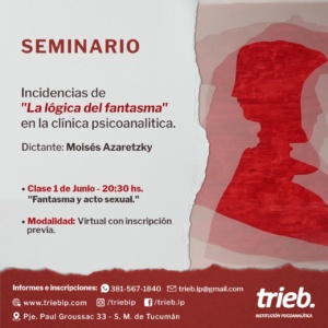 Lee más sobre el artículo SEMINARIO: Incidencias de «La lógica del fantasma» en la clínica psicoanalítica.