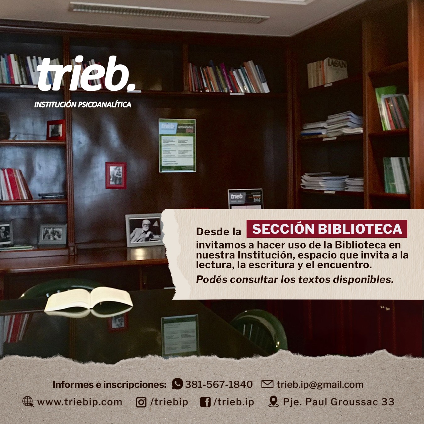 En este momento estás viendo Sección Biblioteca