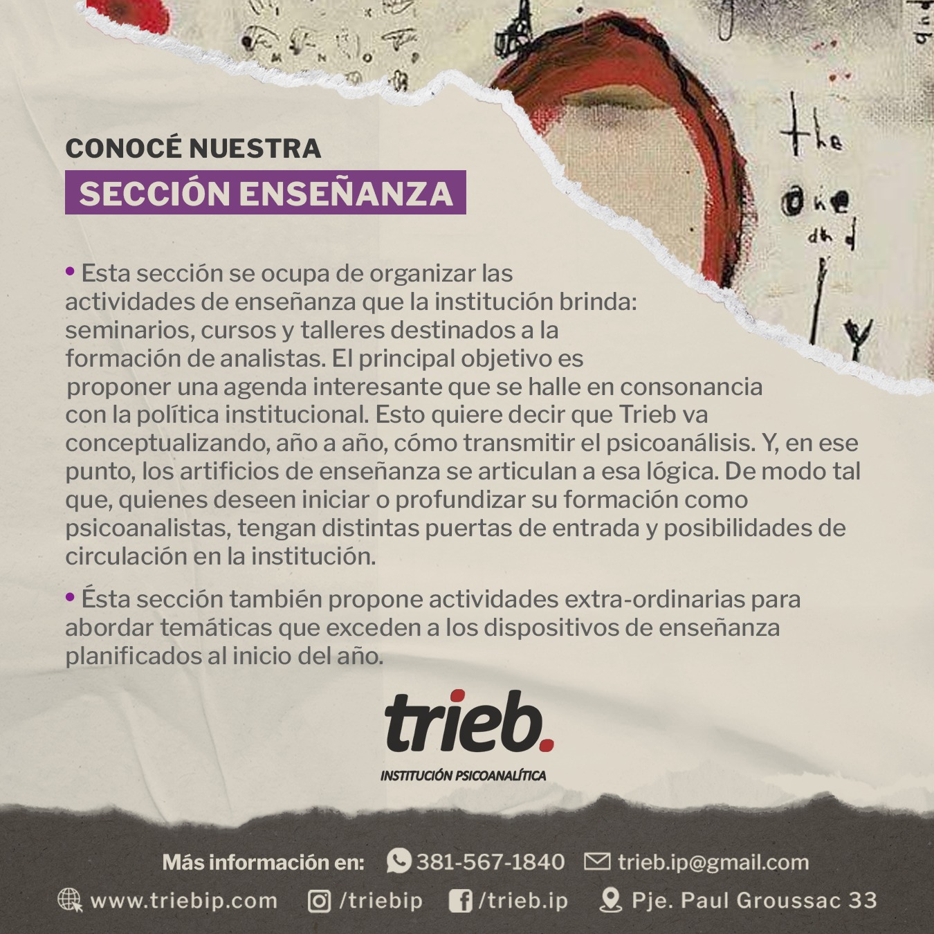 En este momento estás viendo Sección enseñanza 2024